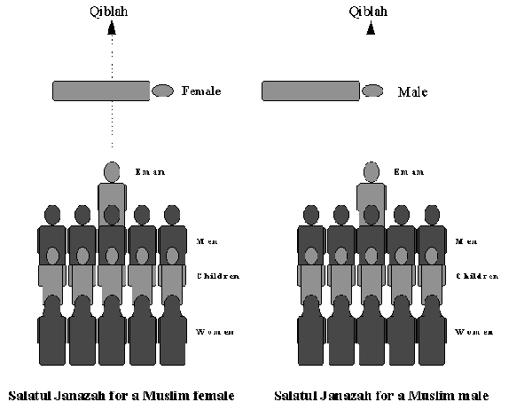 illustrated janazah guide download